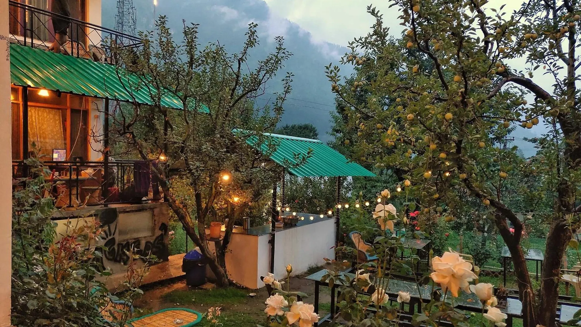 Where to Stay in Old Manali: 4 Best Budget Hotels