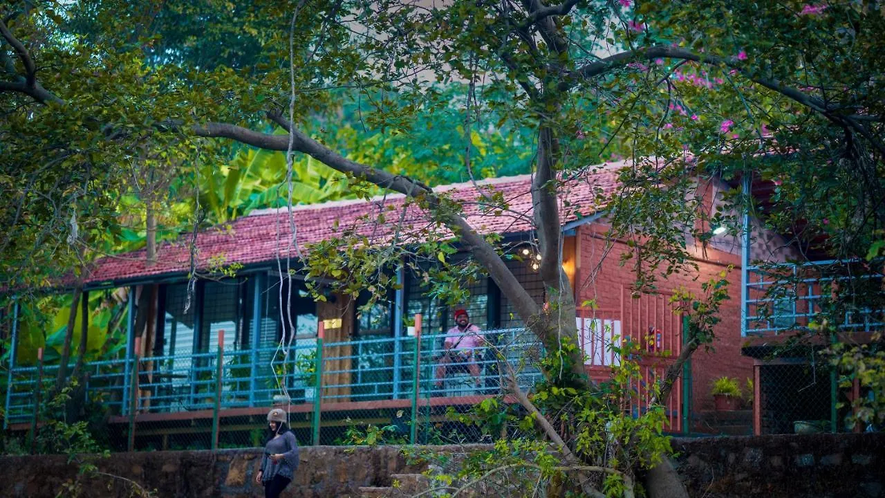 4 Smart Budget Hotels Near Bhivpuri Waterfalls Worth Booking