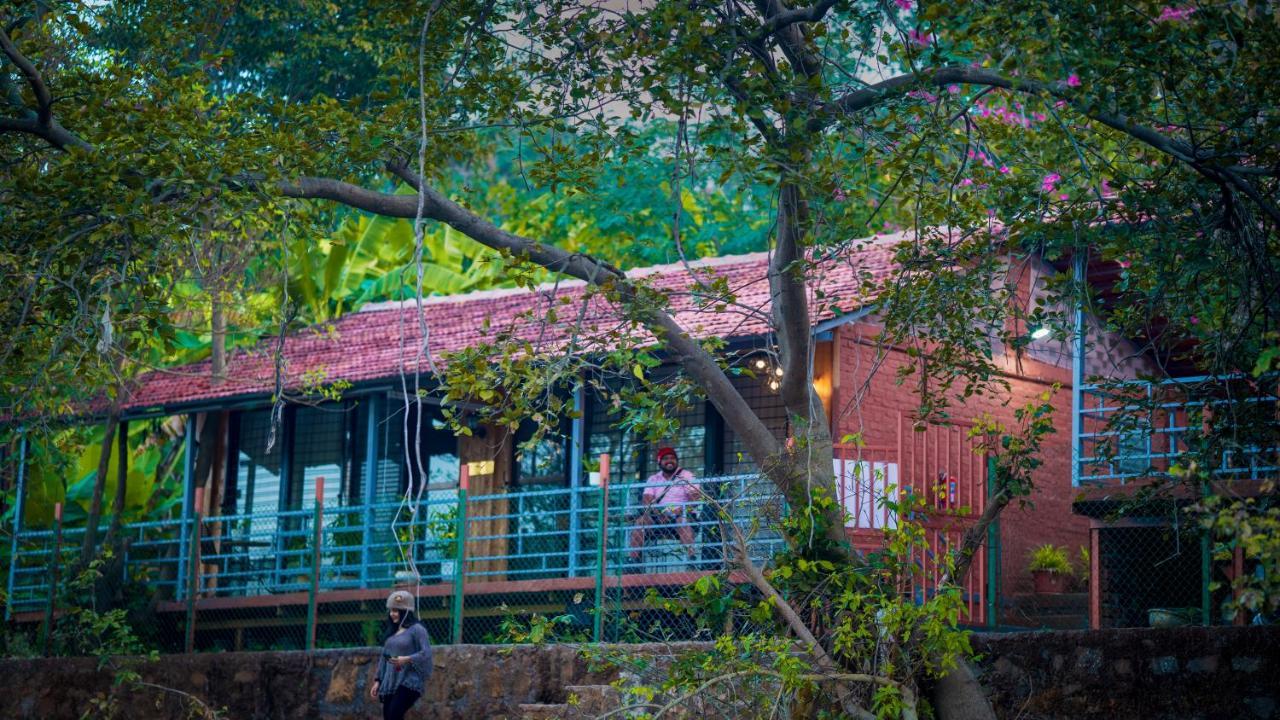 4 Smart Budget Hotels Near Bhivpuri Waterfalls Worth Booking